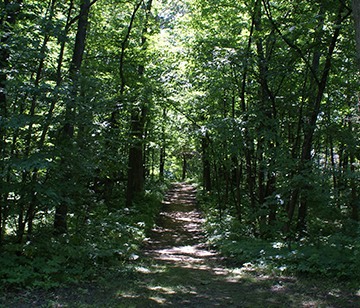 During a challenge hike, campers learn the importance of teamwork and personal motivation, as instructors lead them on a demanding hike through bushes, down embankments, through rivers, and through mud-covered islands. At the instructor’s discretion, some participants may have the test of being blindfolded or physically challenged while other team members safely and carefully guide them through the hike.