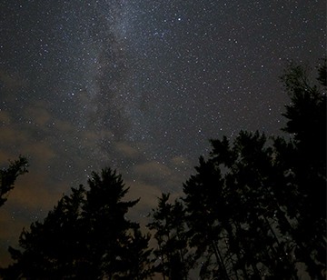 Have you ever truly had to use your night vision before? Well, at camp you can. On a night hike, camp staff leads you on a beautiful, leisurely hike with only the moon and your night vision leading you through the path. At the end of the path, each camper can lie down on the grassy flats and gaze at the stars blanketing the night sky, listen to the crickets and frogs serenade you, and witness a surrounding firefly display.