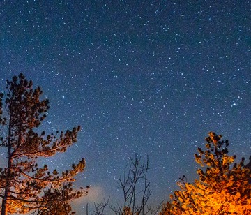 Nights under the stars at Camp Kupugani