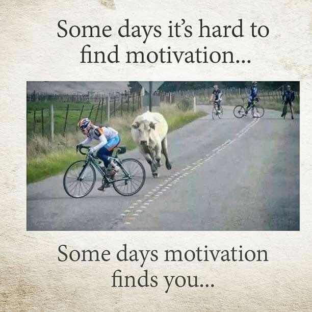 motivate child